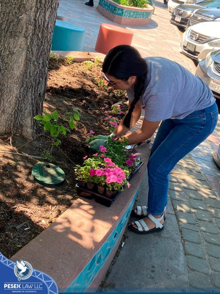 ¡Día Anual de Siembra de Primavera, nuevamente todo un éxito!